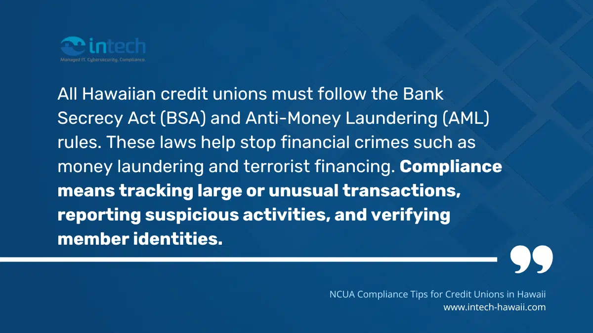 Implementing BSA/AML Protocols